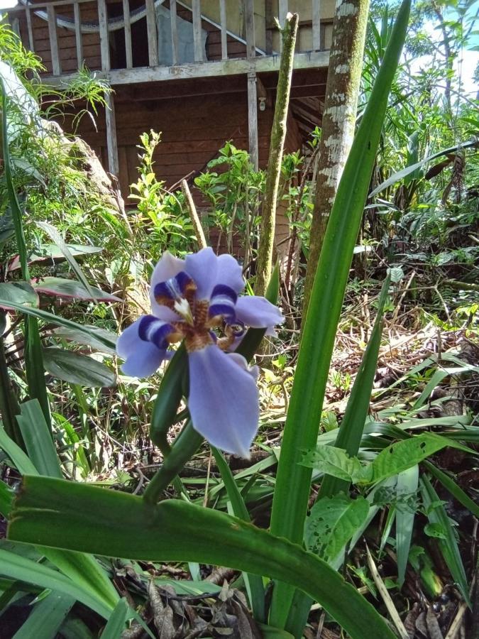 Hostal Azul Del Lago Agua Azul エクステリア 写真